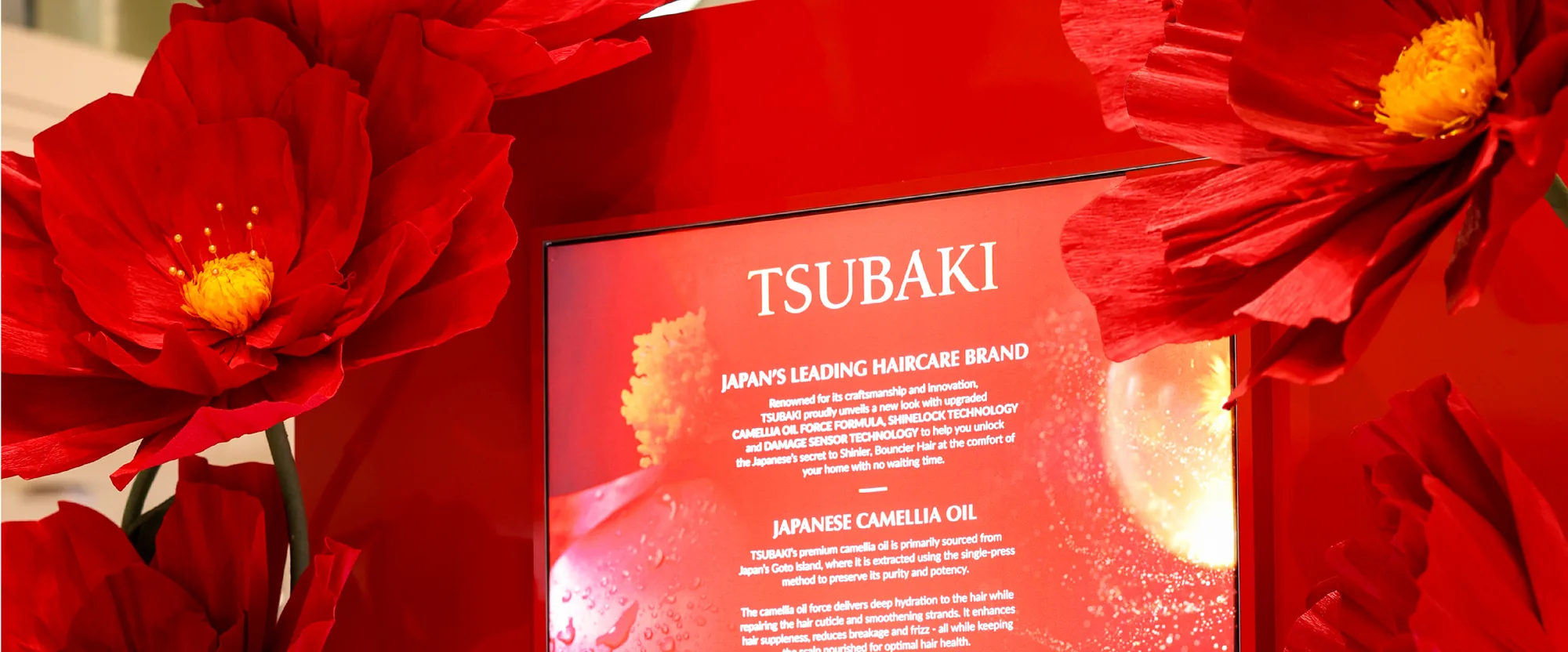 A brand story screen framed by giant paper camellias