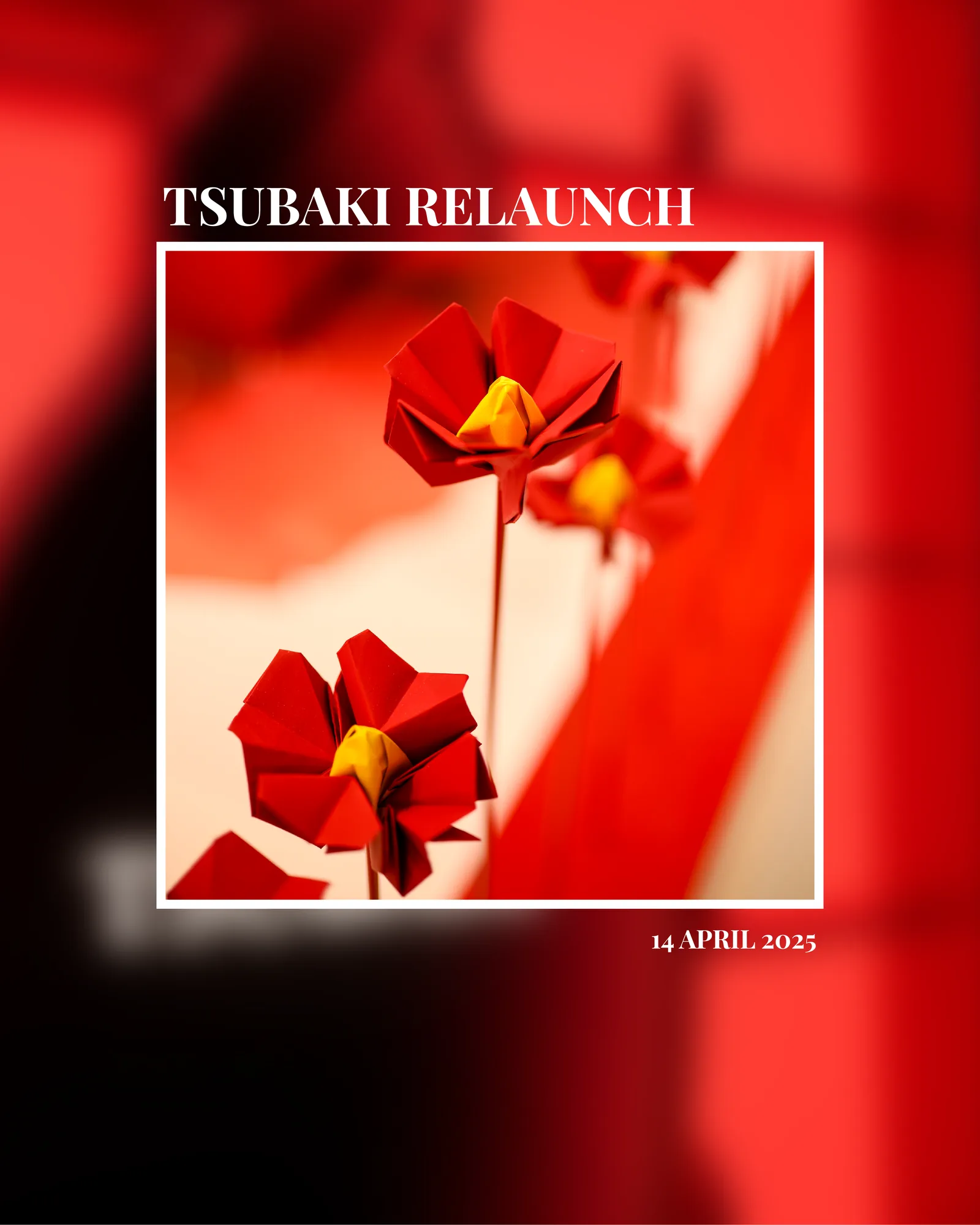 The TSUBAKI Relaunch title card, 14 April 2025, with folded paper camellias